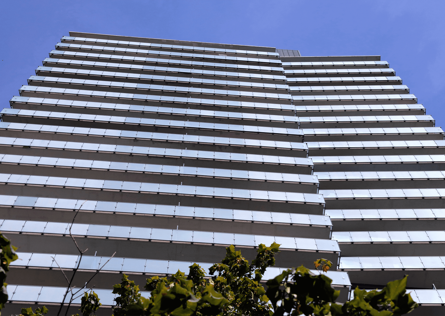 Merton Yonge Condominiums